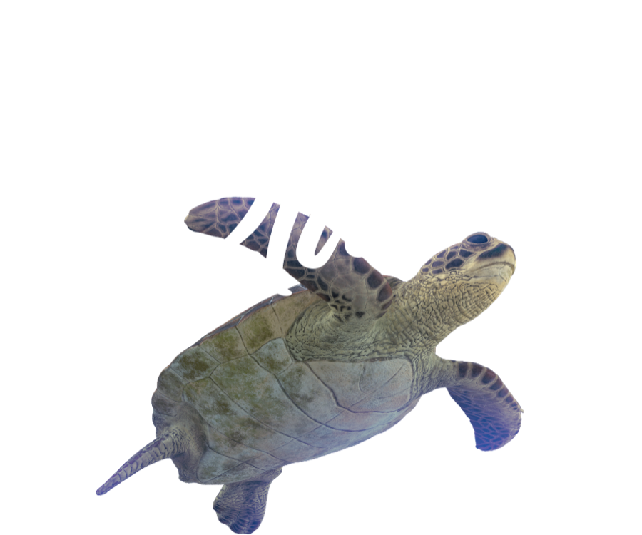 Menos plástico